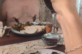 Dressage d'esclaves maso matures avec une maitresse perverse de Belfort