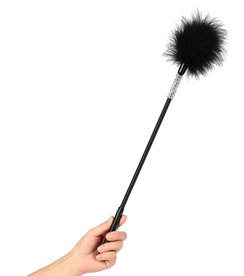 plumes BDSM